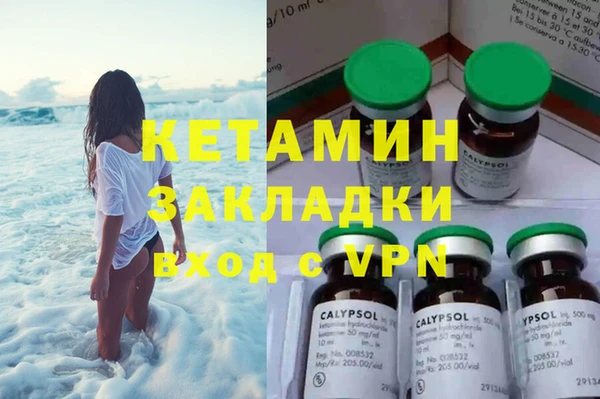шишки Алексеевка