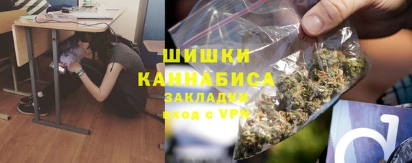 шишки Алексеевка