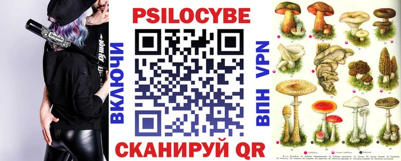 мега как зайти Снежинск Псилоцибиновые грибы Cubensis хочу